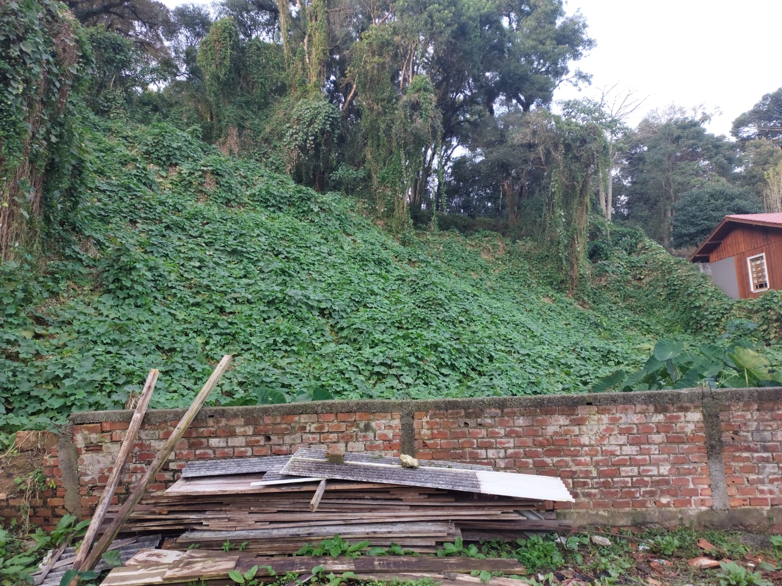 Foto 2 — Terreno na Rua Paulo Pampuche, Campo Comprido