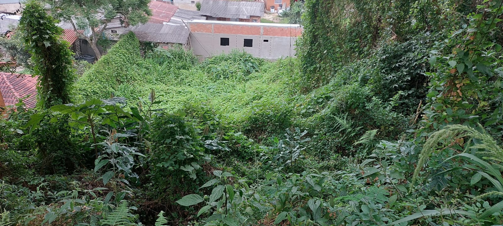 Foto 5 — Terreno na Rua Paulo Pampuche, Campo Comprido
