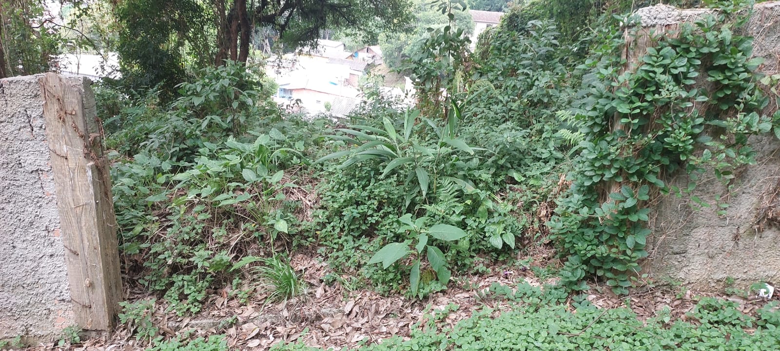 Foto 6 — Terreno na Rua Paulo Pampuche, Campo Comprido